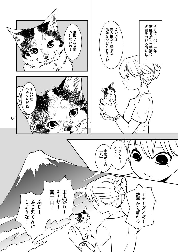 ねこのあれこれ