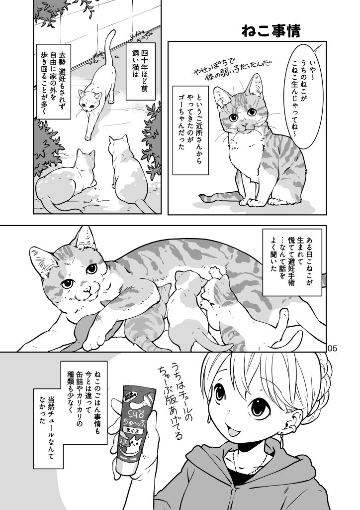 ねこのあれこれ