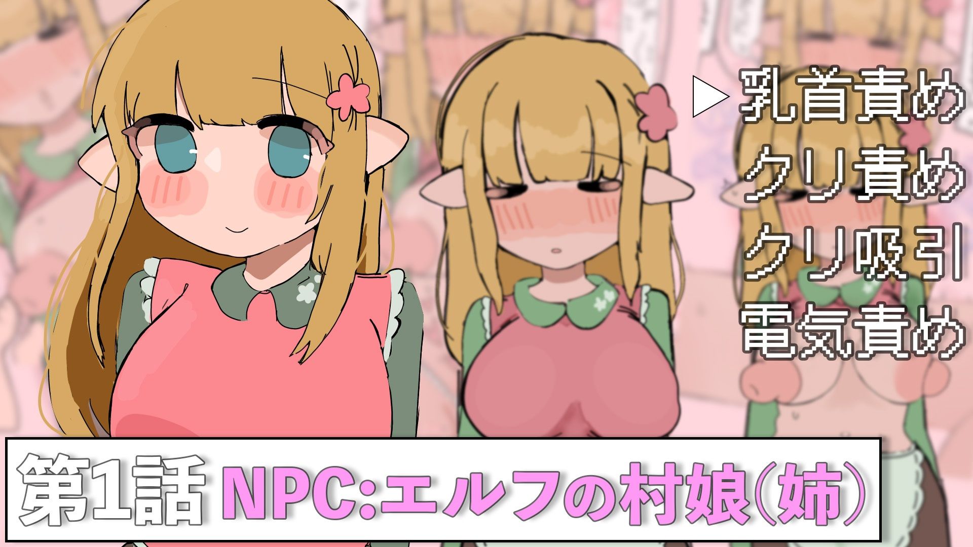 やりたい放題RPG NPC姦