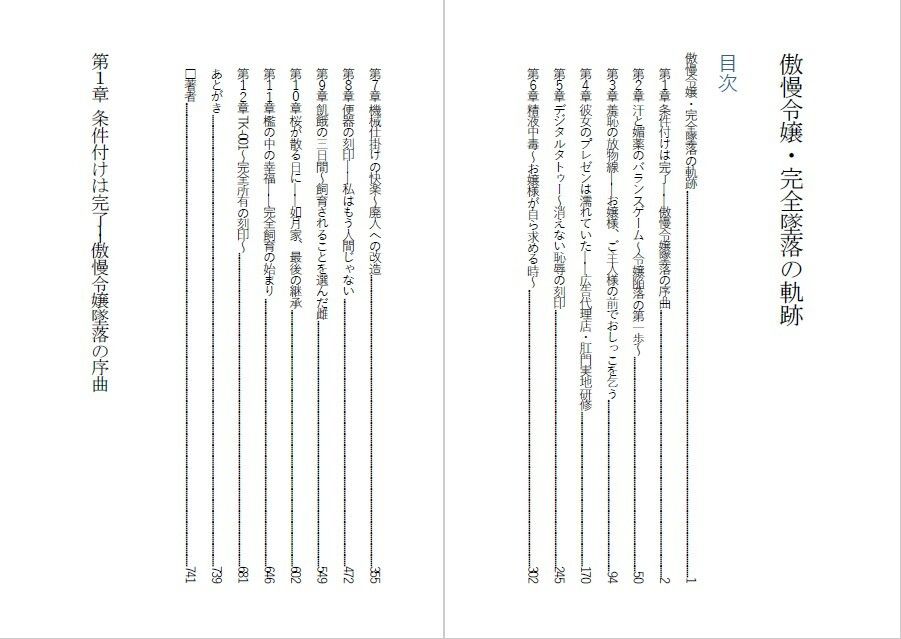 傲慢令嬢を肉便器に変える1ヶ月