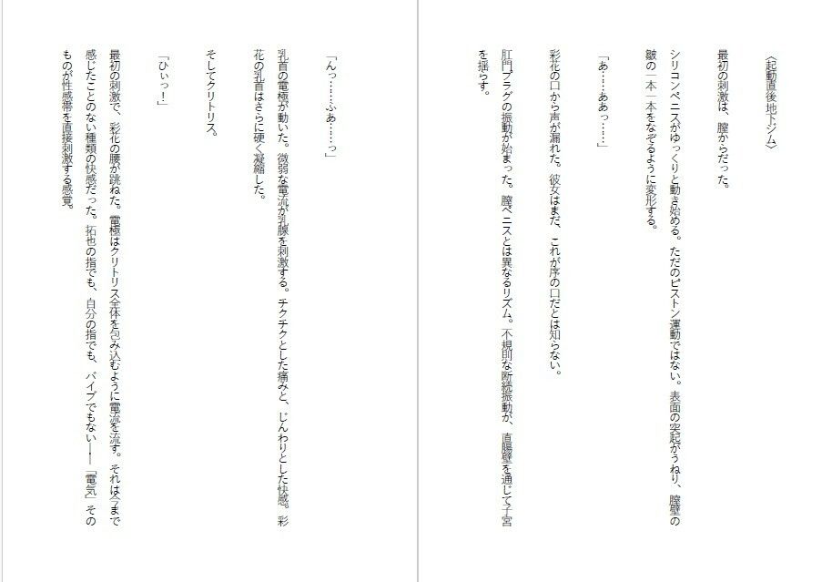 傲慢令嬢を肉便器に変える1ヶ月