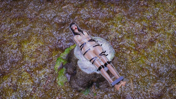 美脚奴〇捕縛・続 脱走奴●捕縛