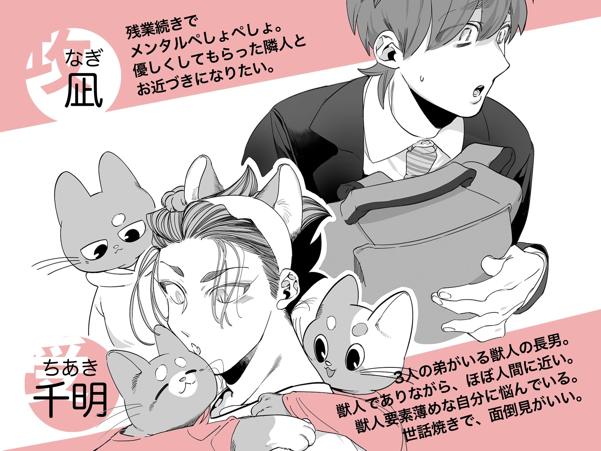 雄ネコお兄さん