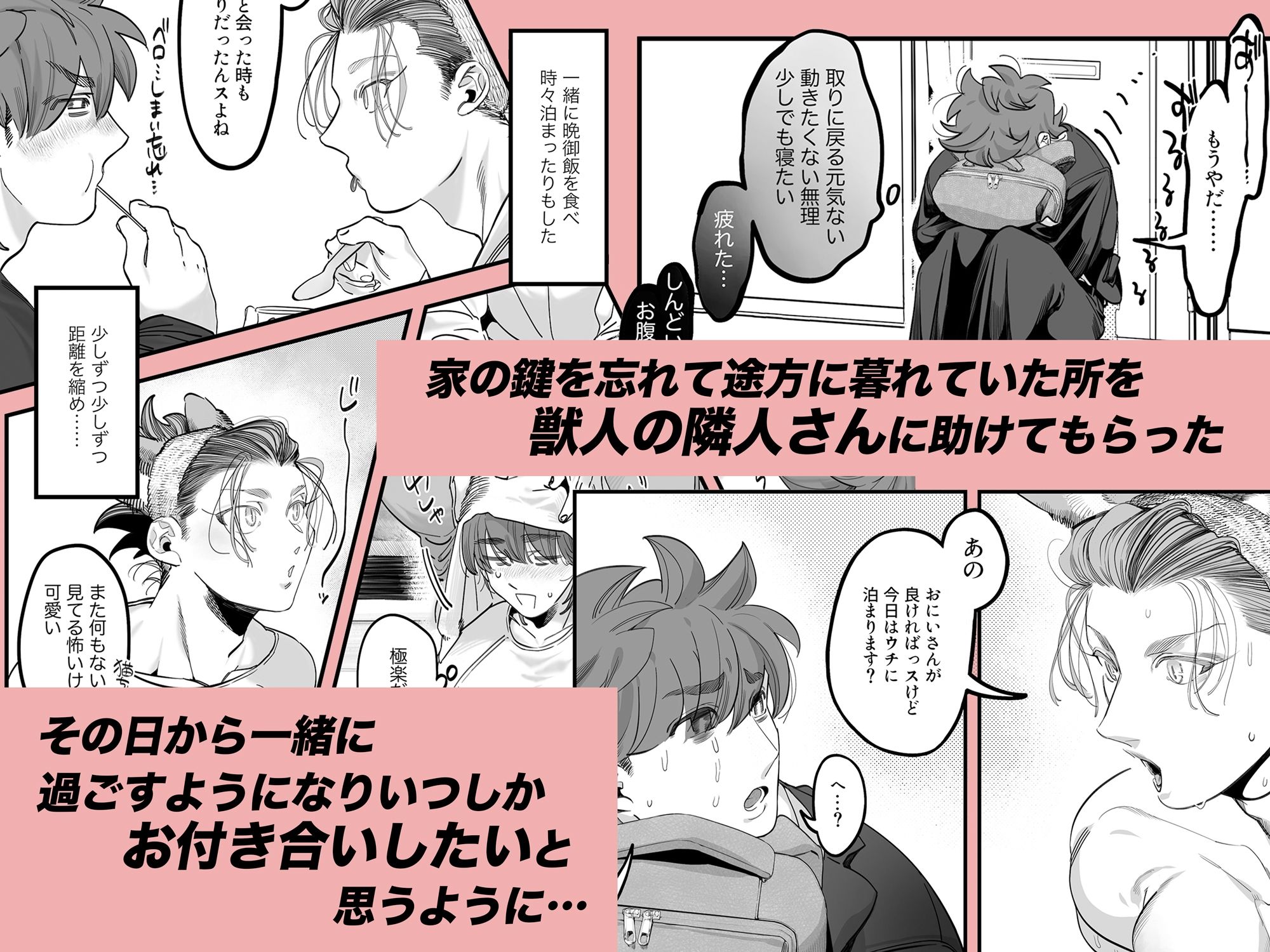 雄ネコお兄さん
