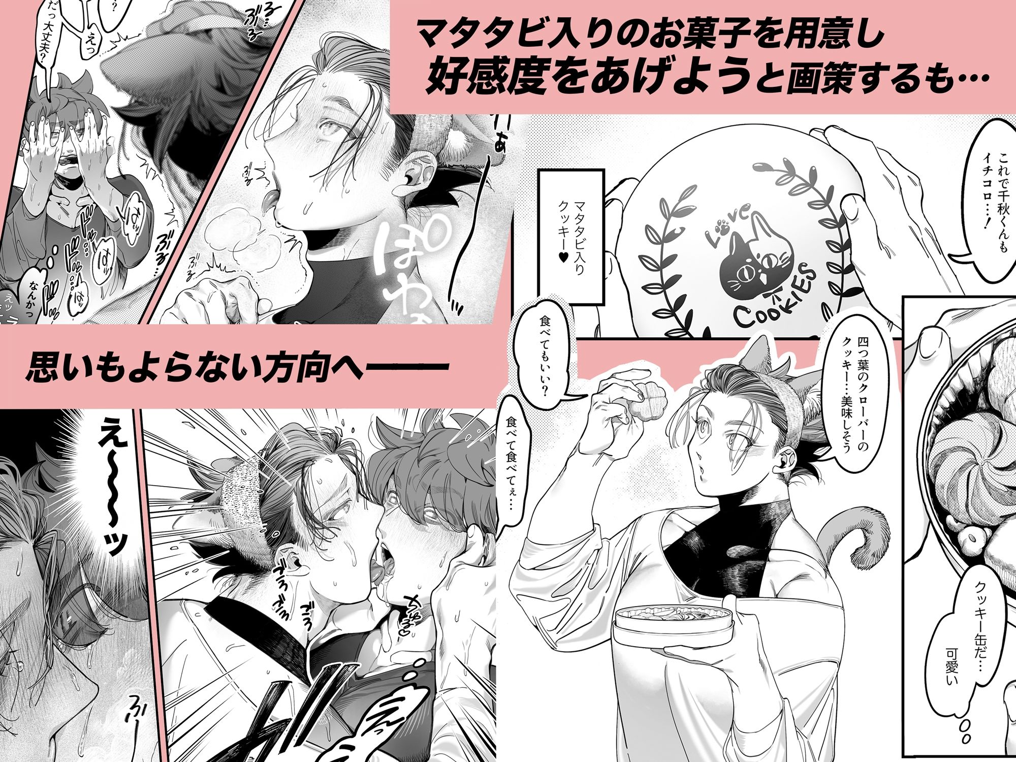 雄ネコお兄さん
