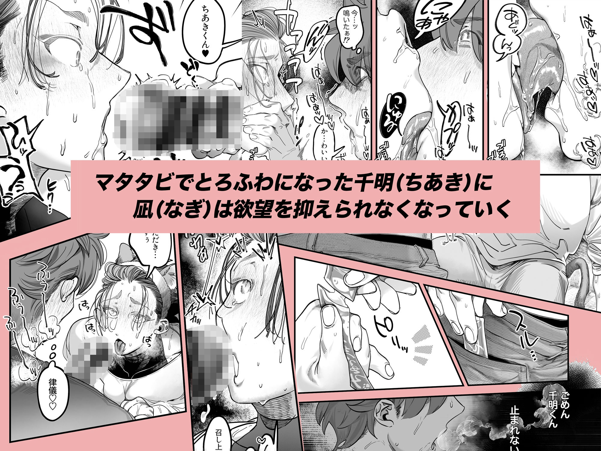雄ネコお兄さん