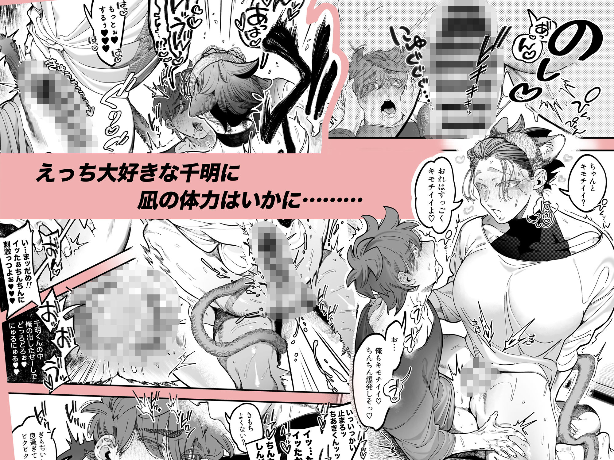 雄ネコお兄さん