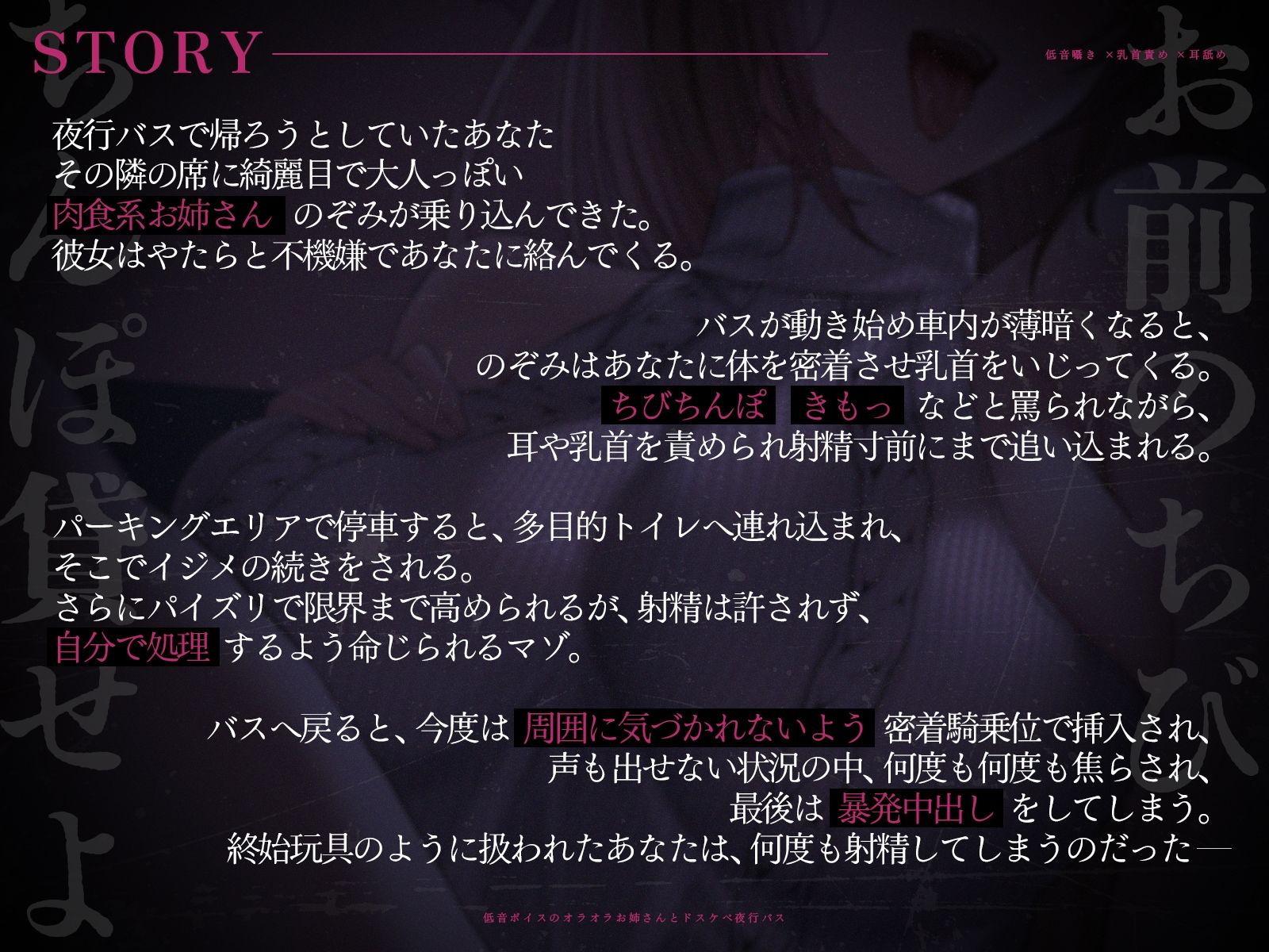 【低音囁き×乳首責め×耳舐め】「おい、お前のちびちんぽ貸せよ」低音ボイスのオラオラお姉さんとドスケベ夜行バス【CV沢野ぽぷら】