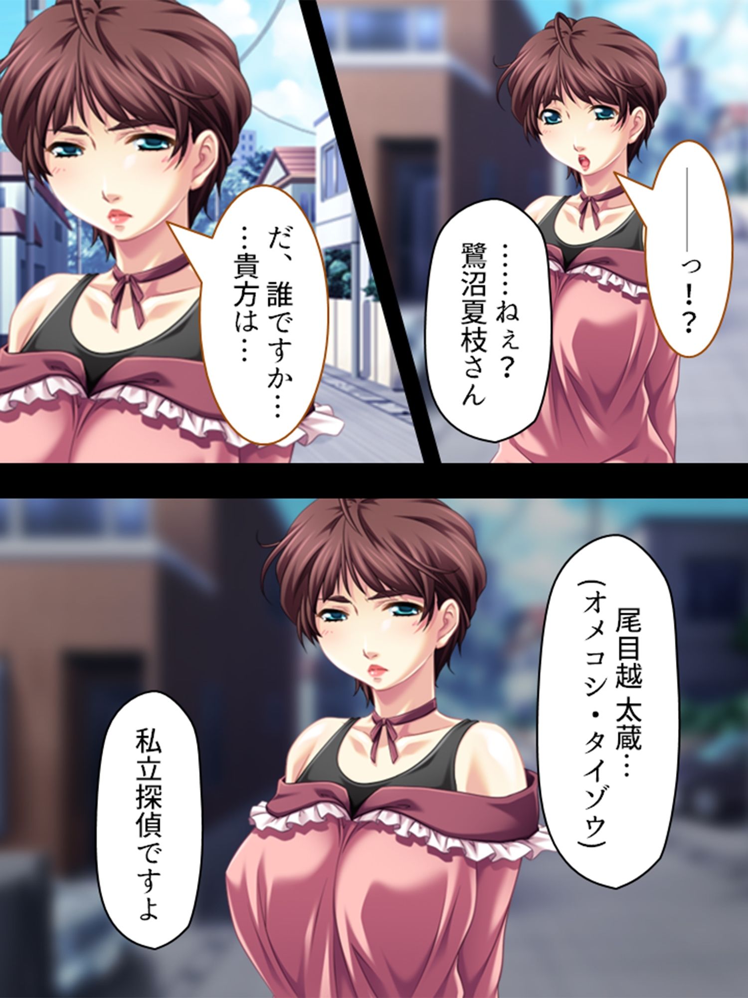 旦那から不倫調査を頼まれた俺が浮気妻に迫ってハメる ＜総集編＞