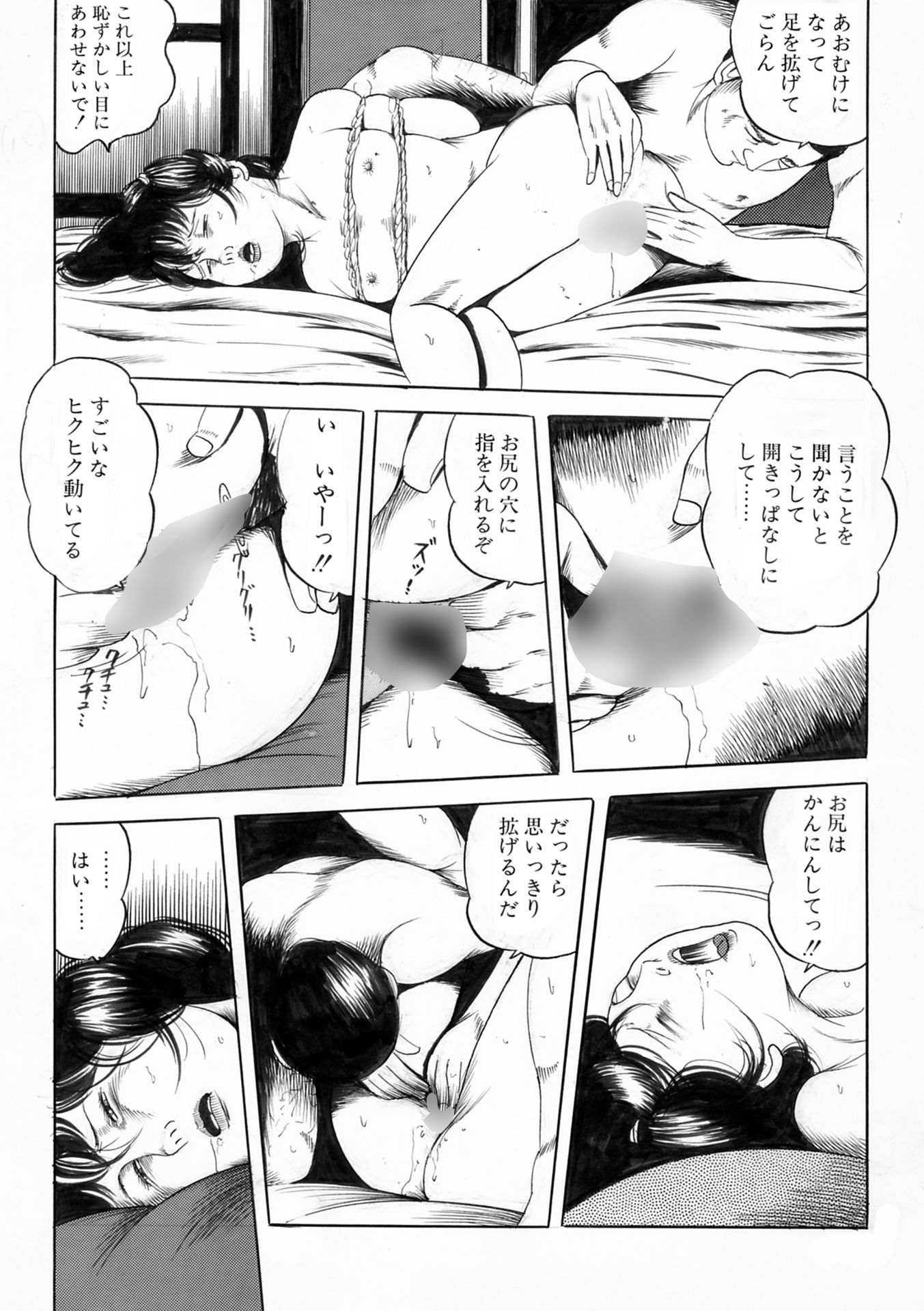 夜生奇久作品集14 愛奴少女3作品