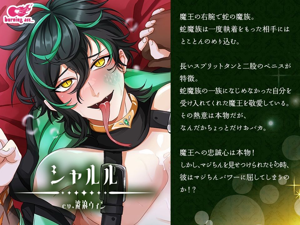 【全4作セット】マジちん勇者 コンプリートパック（約160分！？）