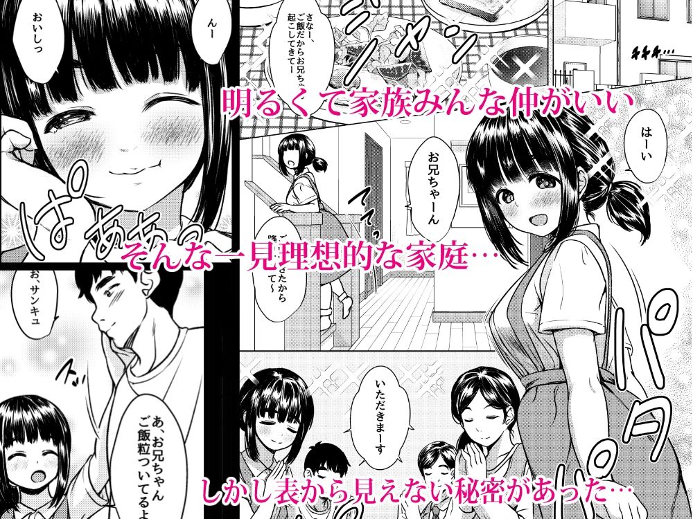 兄妹が終わる時 〜可愛く成長した妹に壊れた兄が手を出すまで〜
