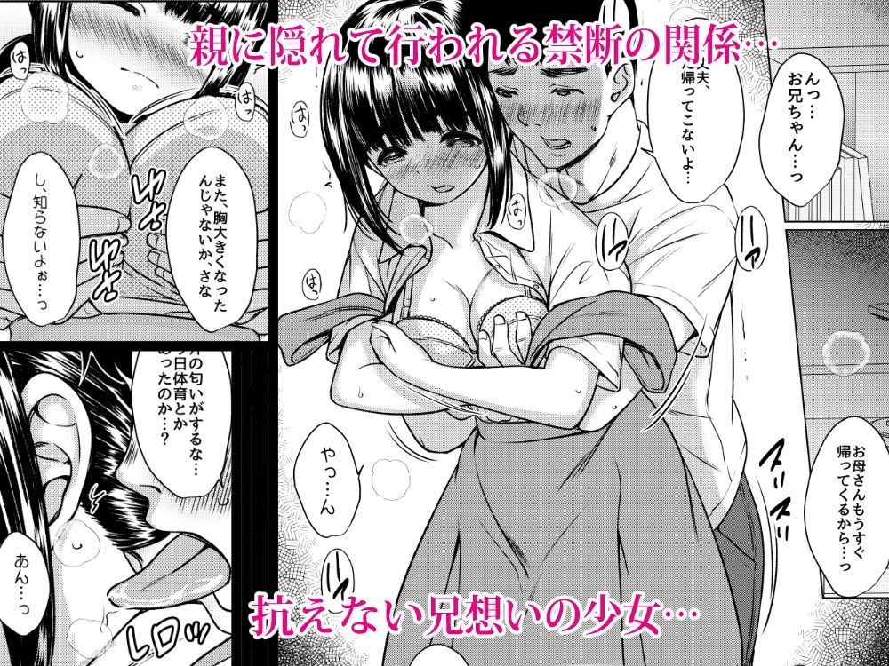 兄妹が終わる時 〜可愛く成長した妹に壊れた兄が手を出すまで〜