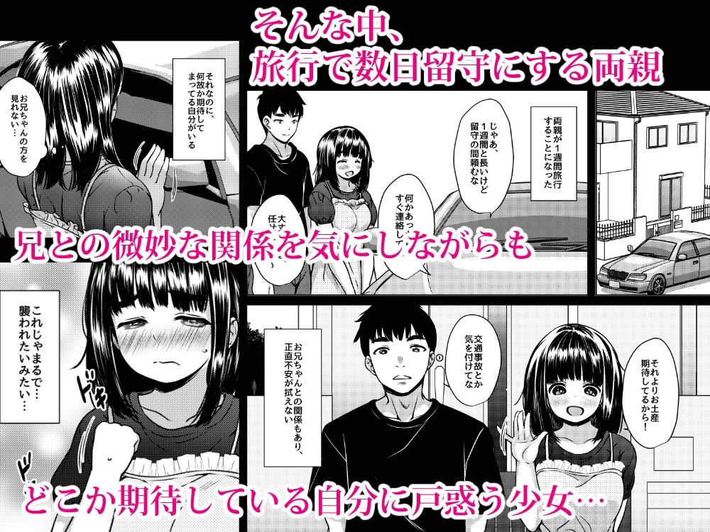 兄妹が終わる時 〜可愛く成長した妹に壊れた兄が手を出すまで〜