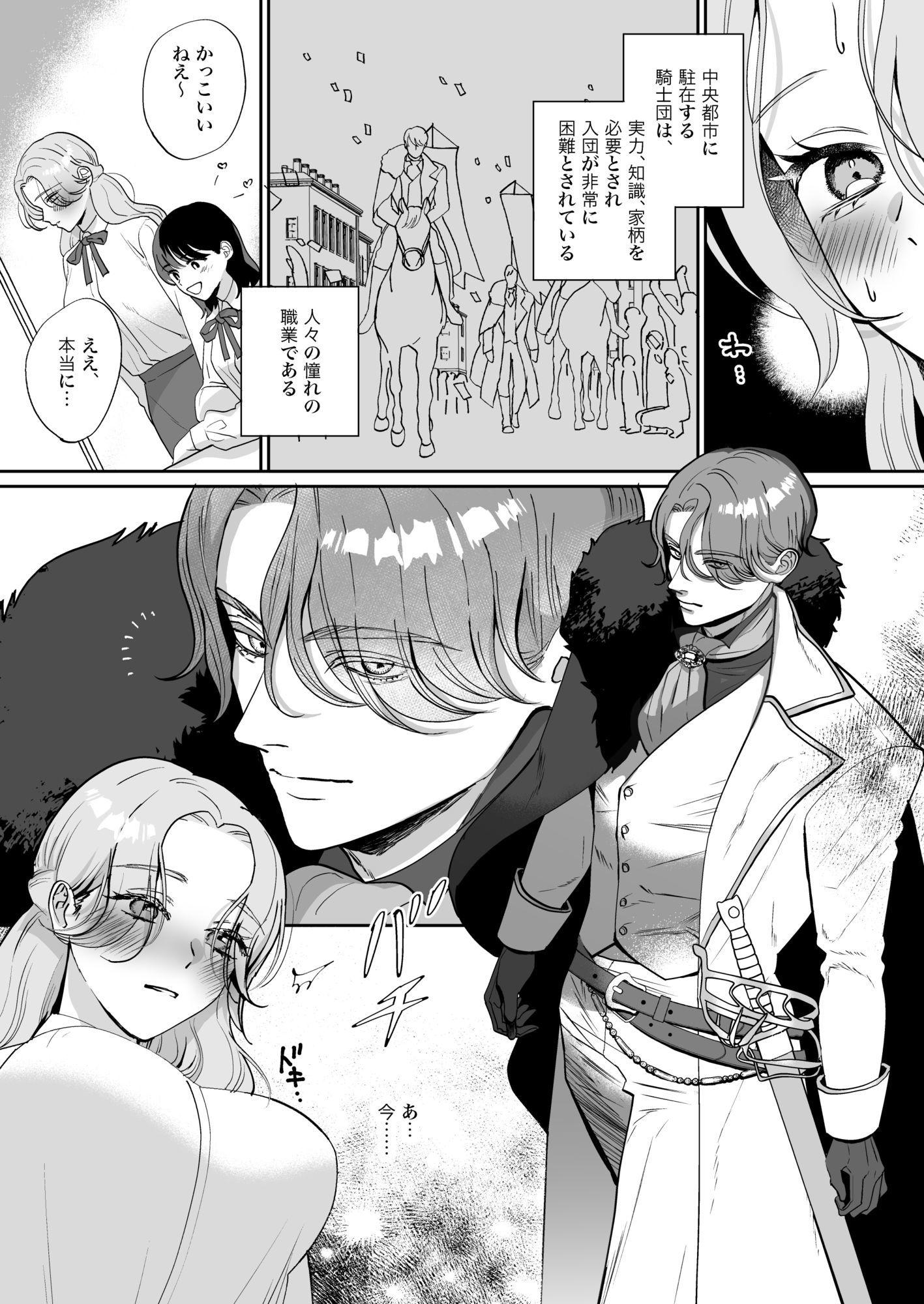 真面目系乙女は騎士を癒す運命
