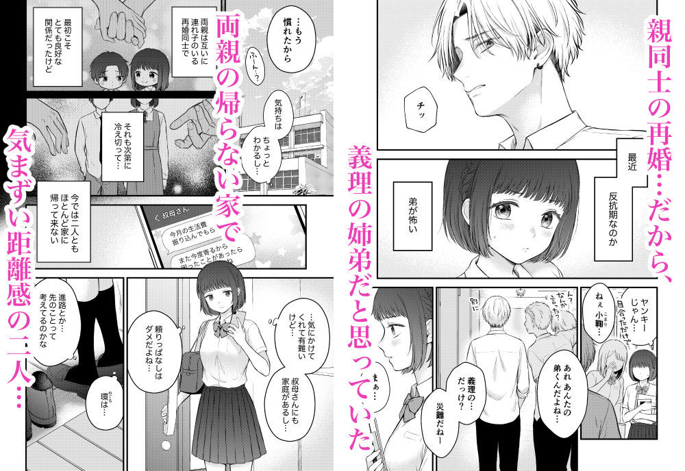 ツンギレ弟は姉ちゃんと繋がりたい
