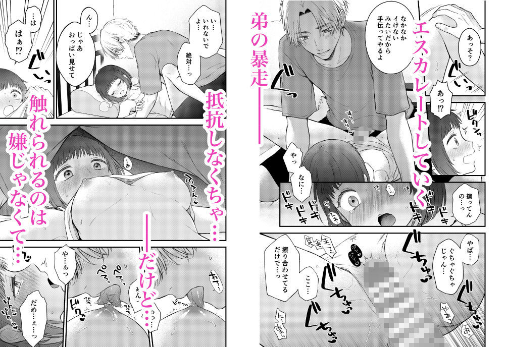 ツンギレ弟は姉ちゃんと繋がりたい