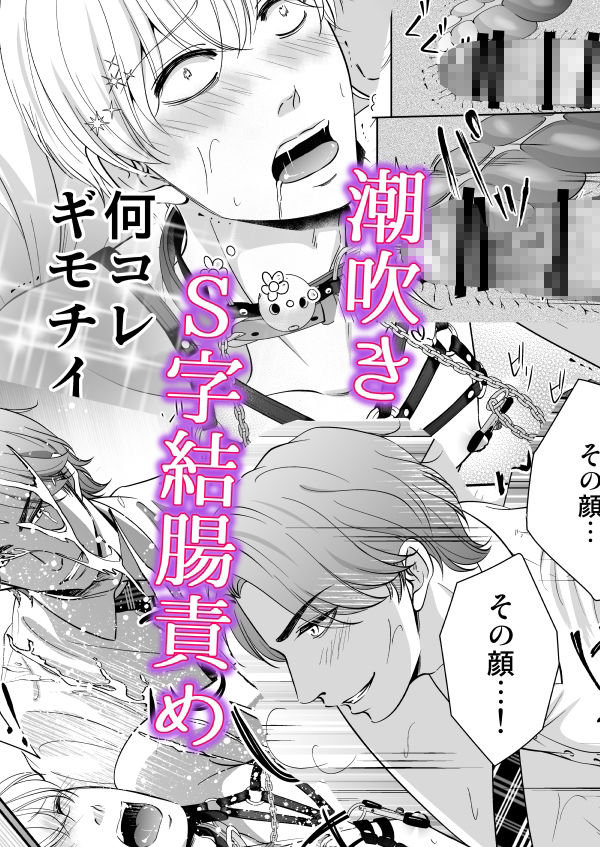 ドSスイッチ