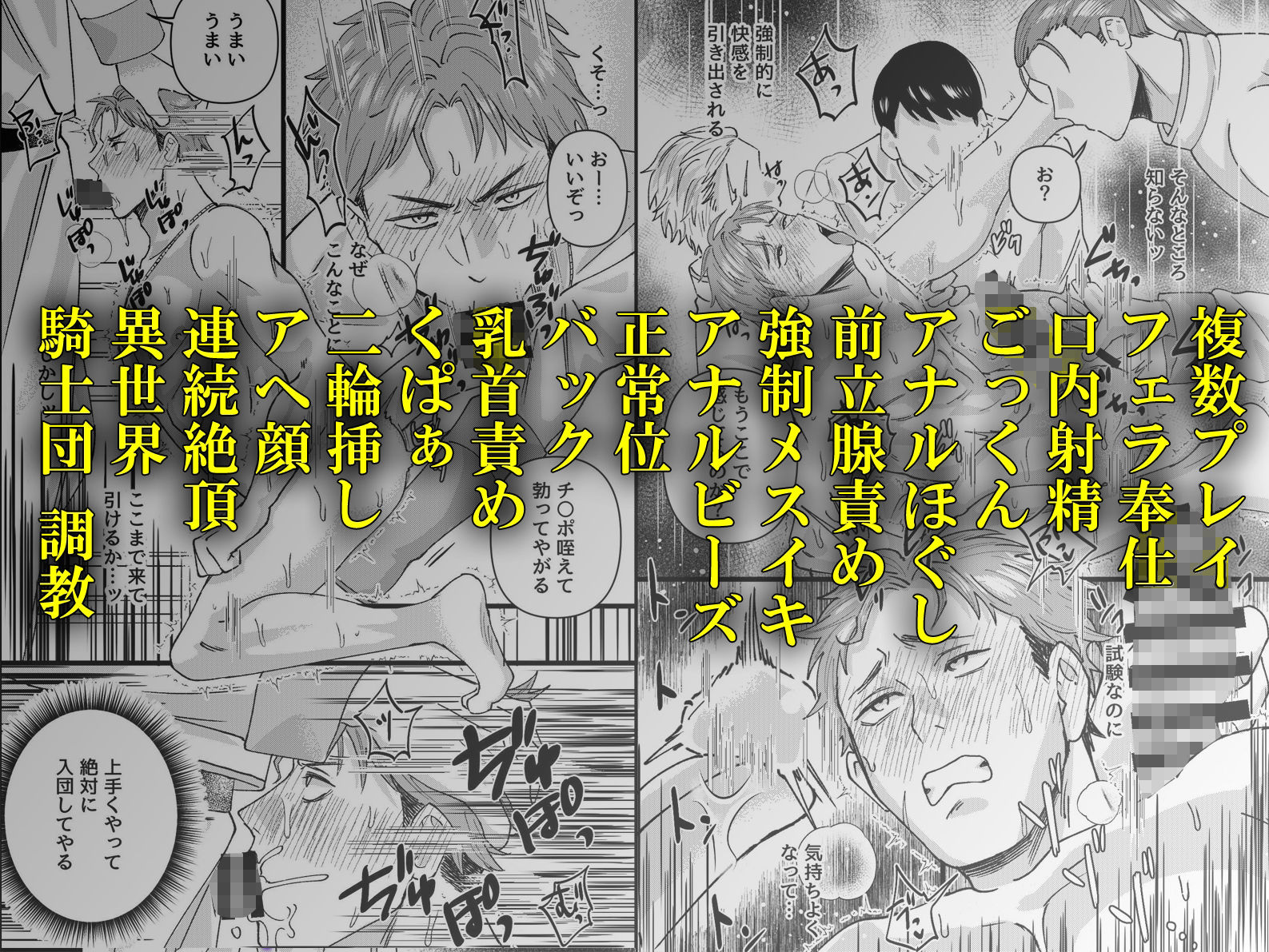 騎士団員を目指したリオンが、最終試験で三人の審査員に前立腺を抉られメス堕ち調教の末、団長と副団長の二輪挿しで完全なる性処理奴●に堕とされるまで