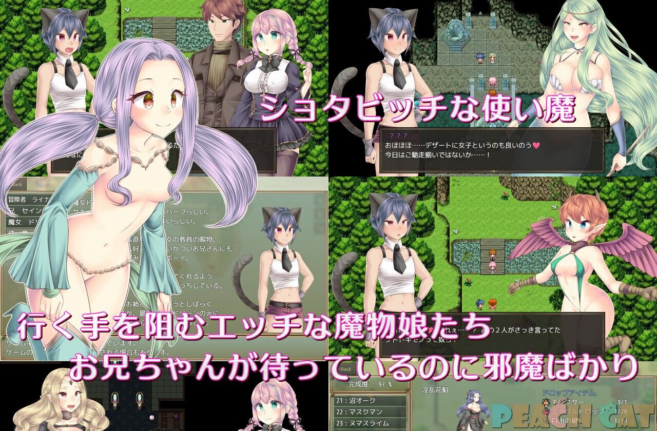 連続絶頂 Sister Maiden