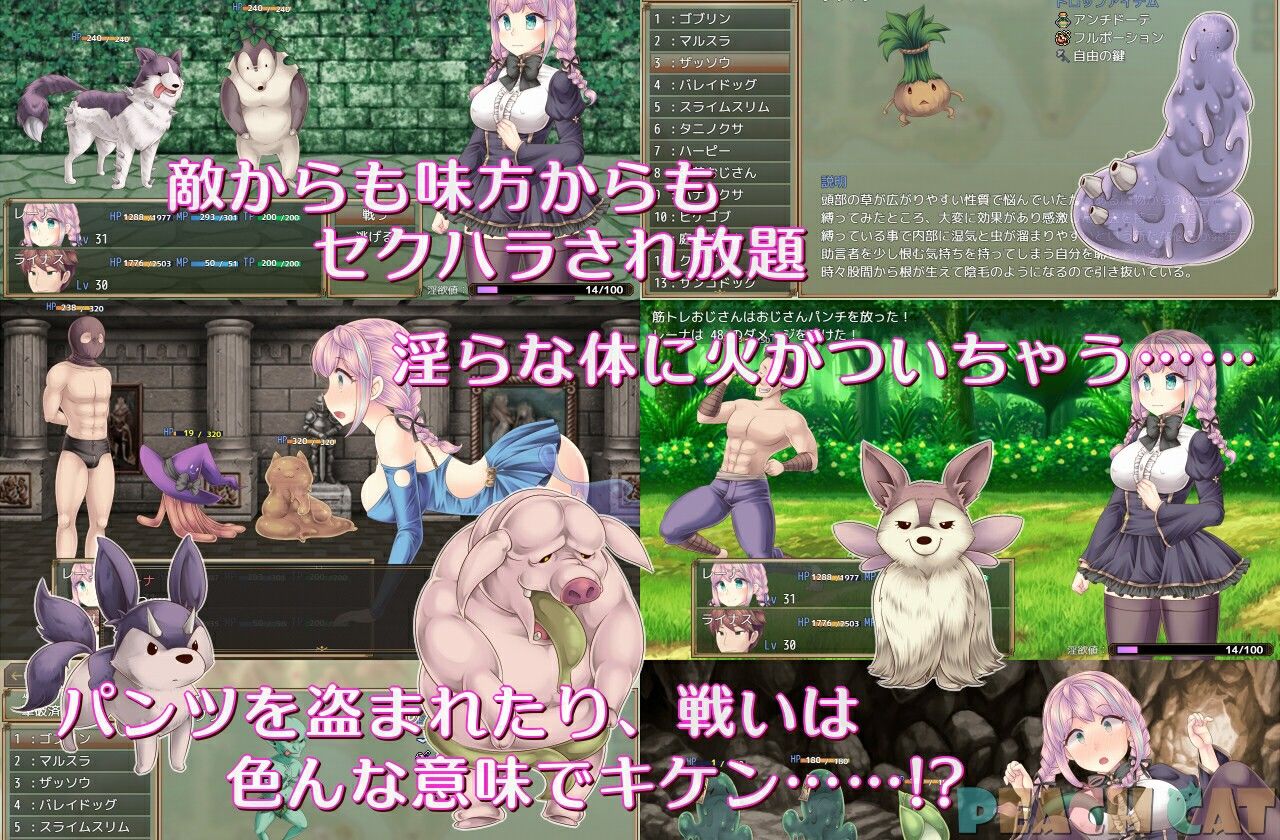 連続絶頂 Sister Maiden