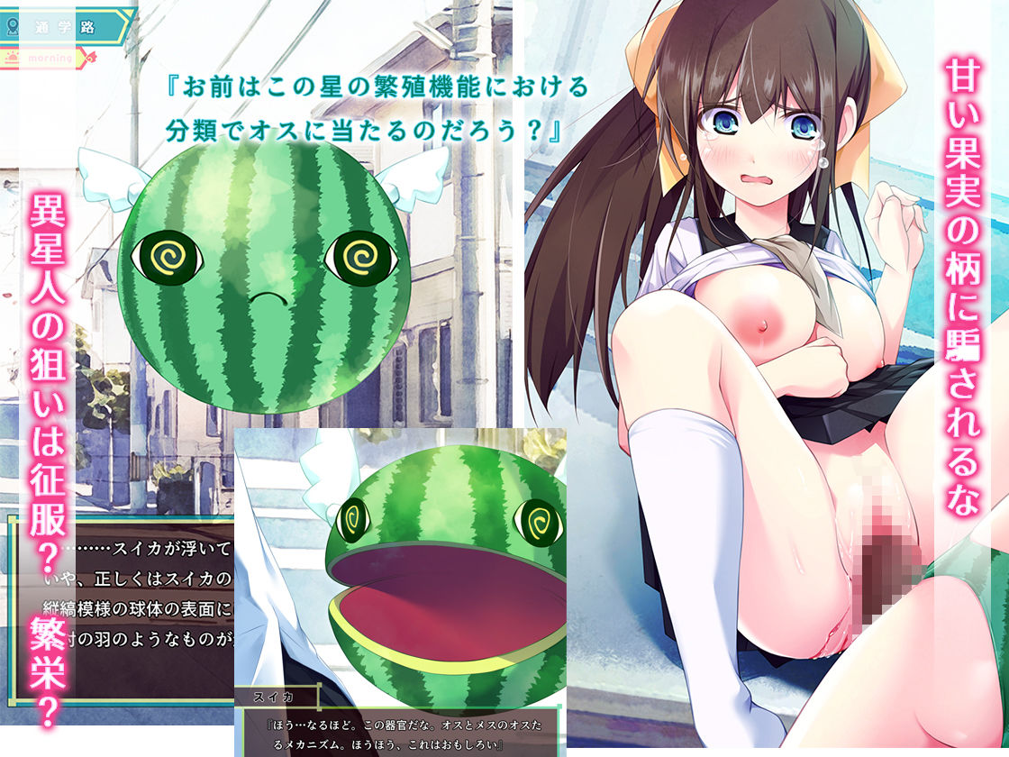 スイカパンティの侵略者