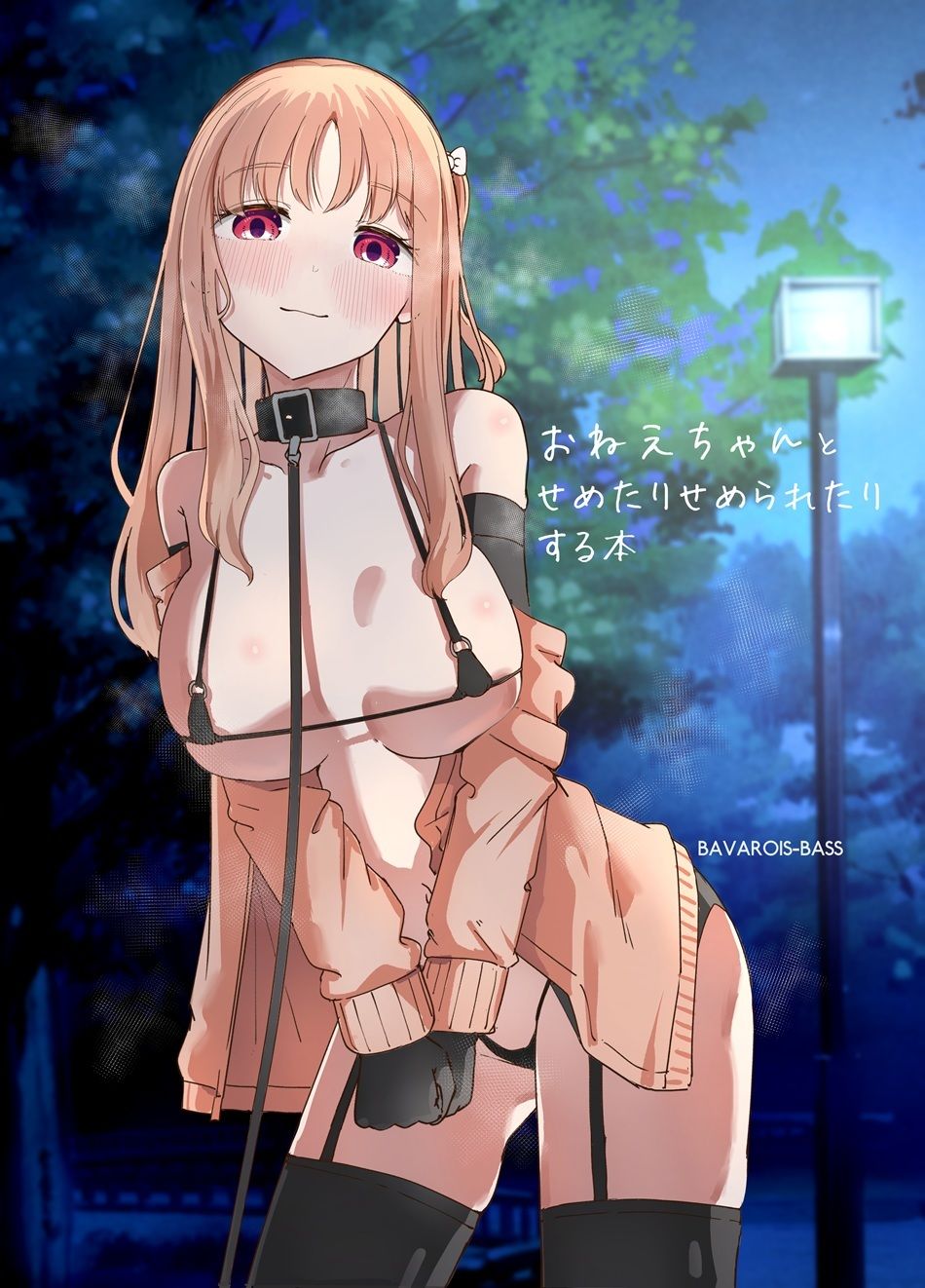 おねえちゃんとせめたりせめられたりする本