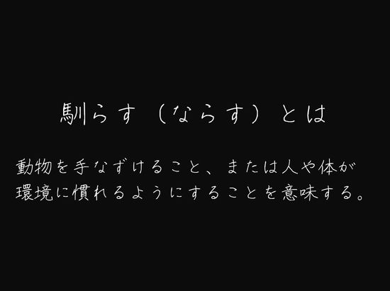 わたしを馴らすひと【途中記録】