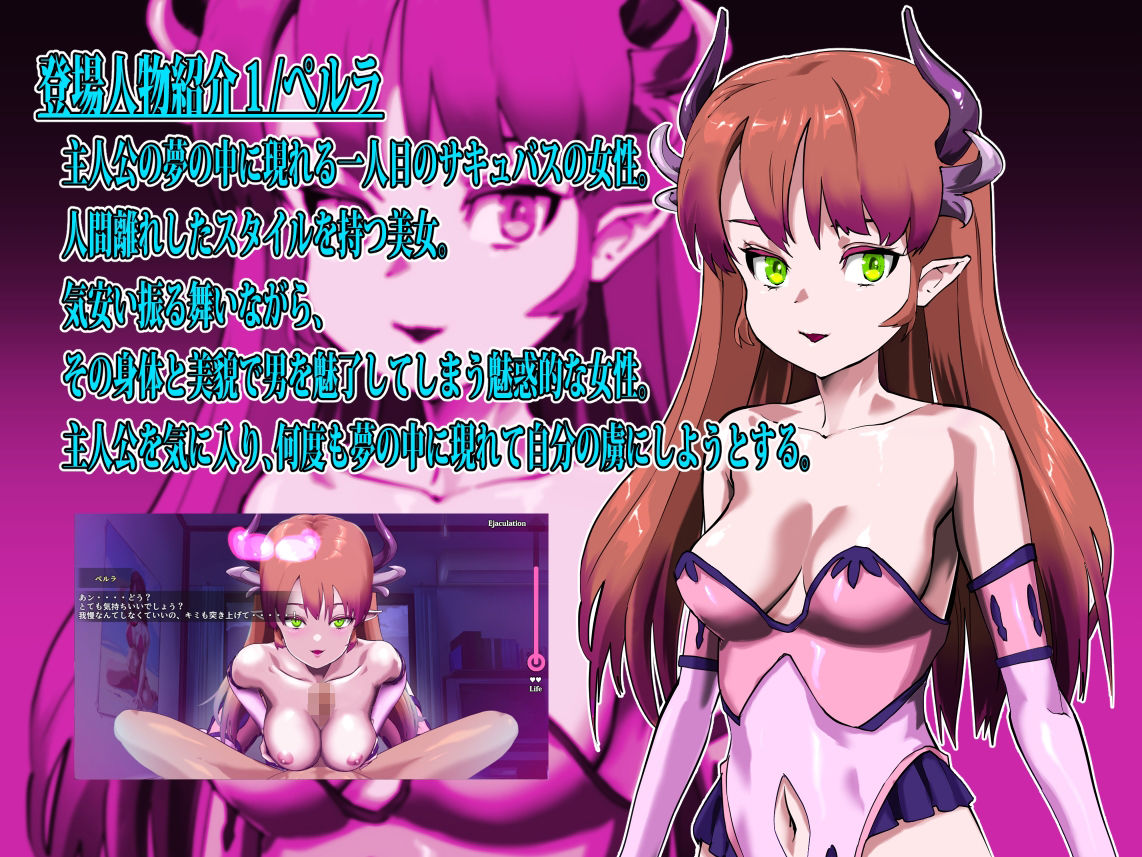 サキュバスたちの夜 〜淫魔姦、あるいはインキュバスとサキュバスについて〜