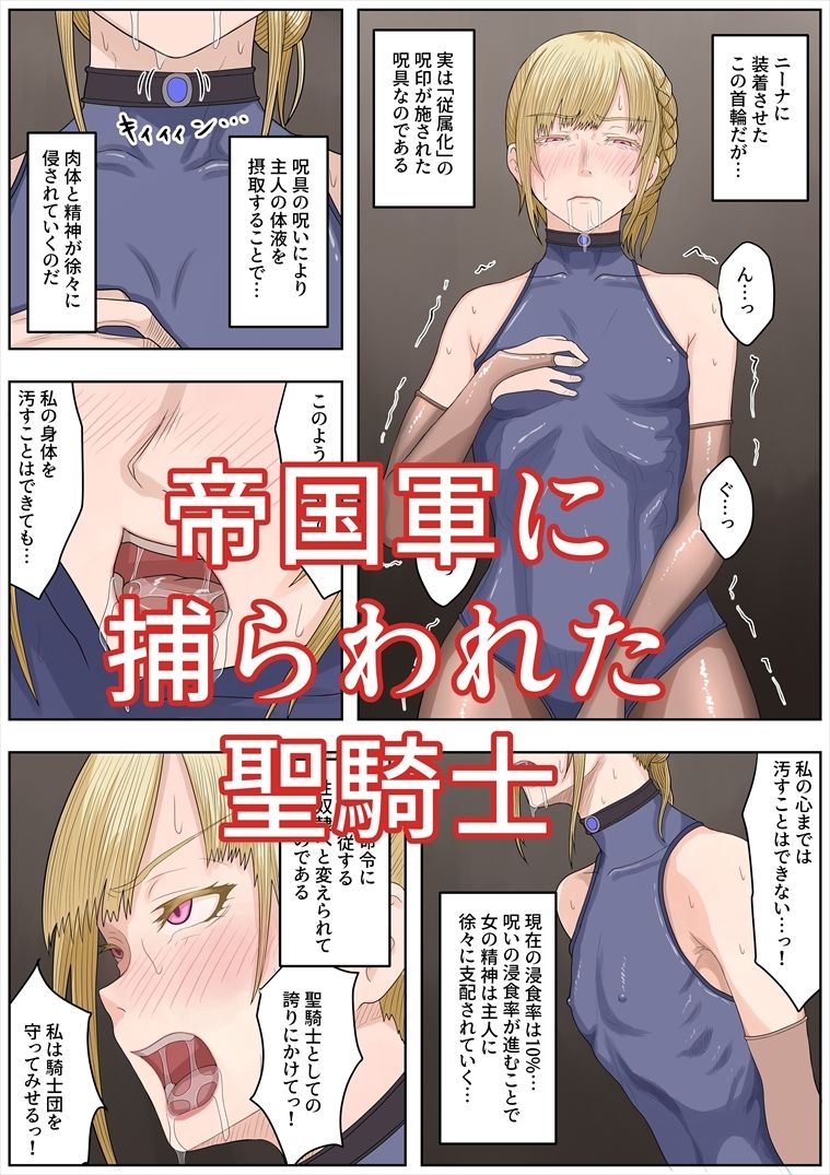 帝国家畜化調教4 聖騎士ニーナ