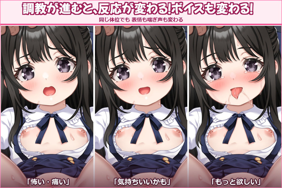 性教育の調教師 〜清楚なマゾメスお嬢様〜
