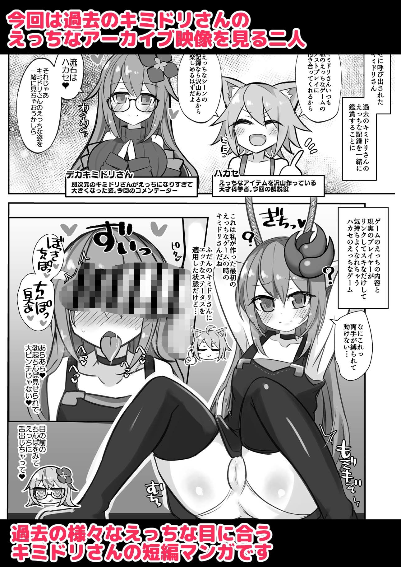 えっちに夢中なキミドリさん13