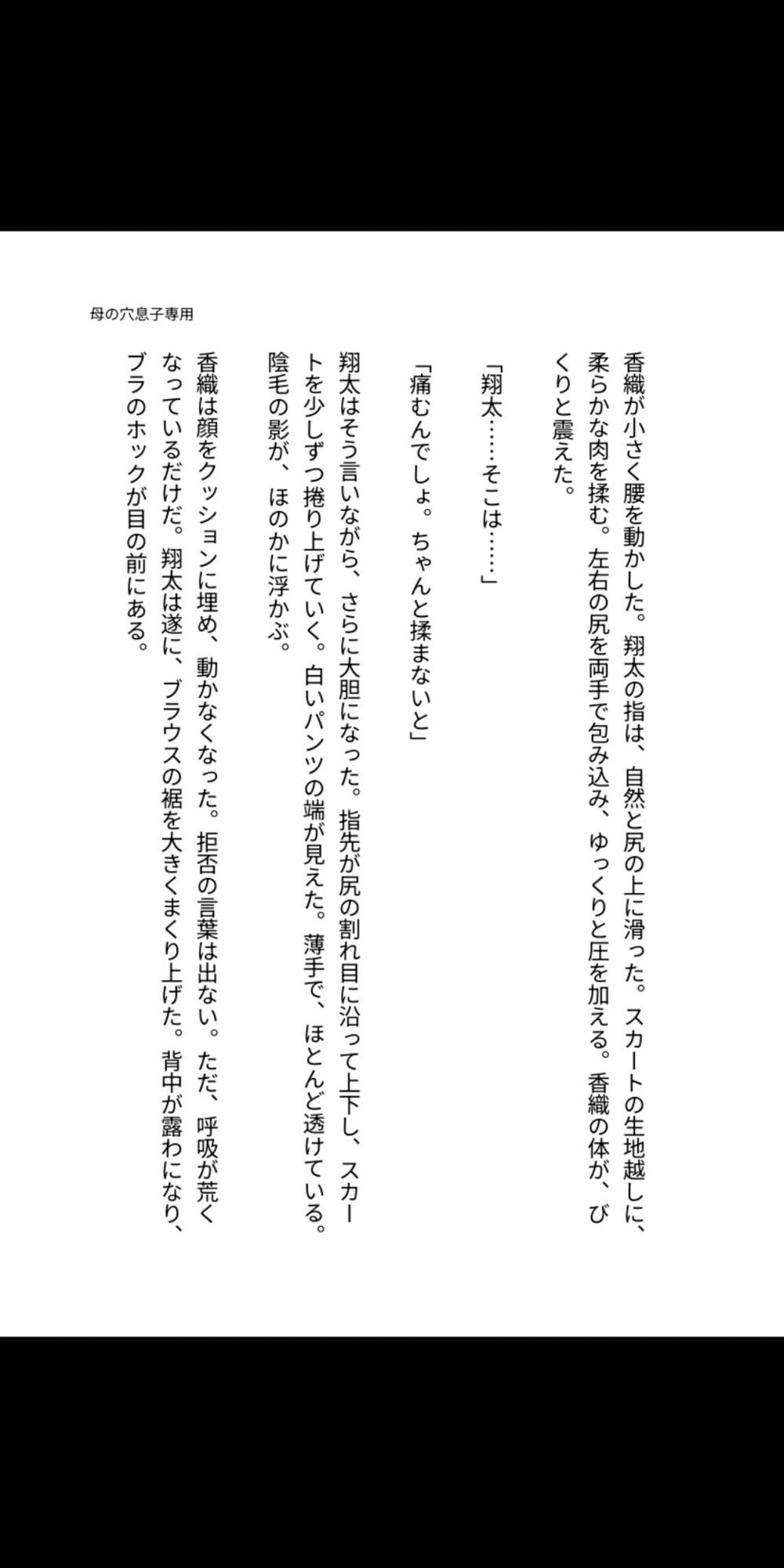 母の穴は、息子専用 〜熟母、禁忌に堕ちるまで〜