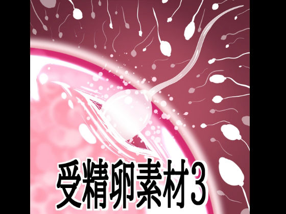 受精卵素材3