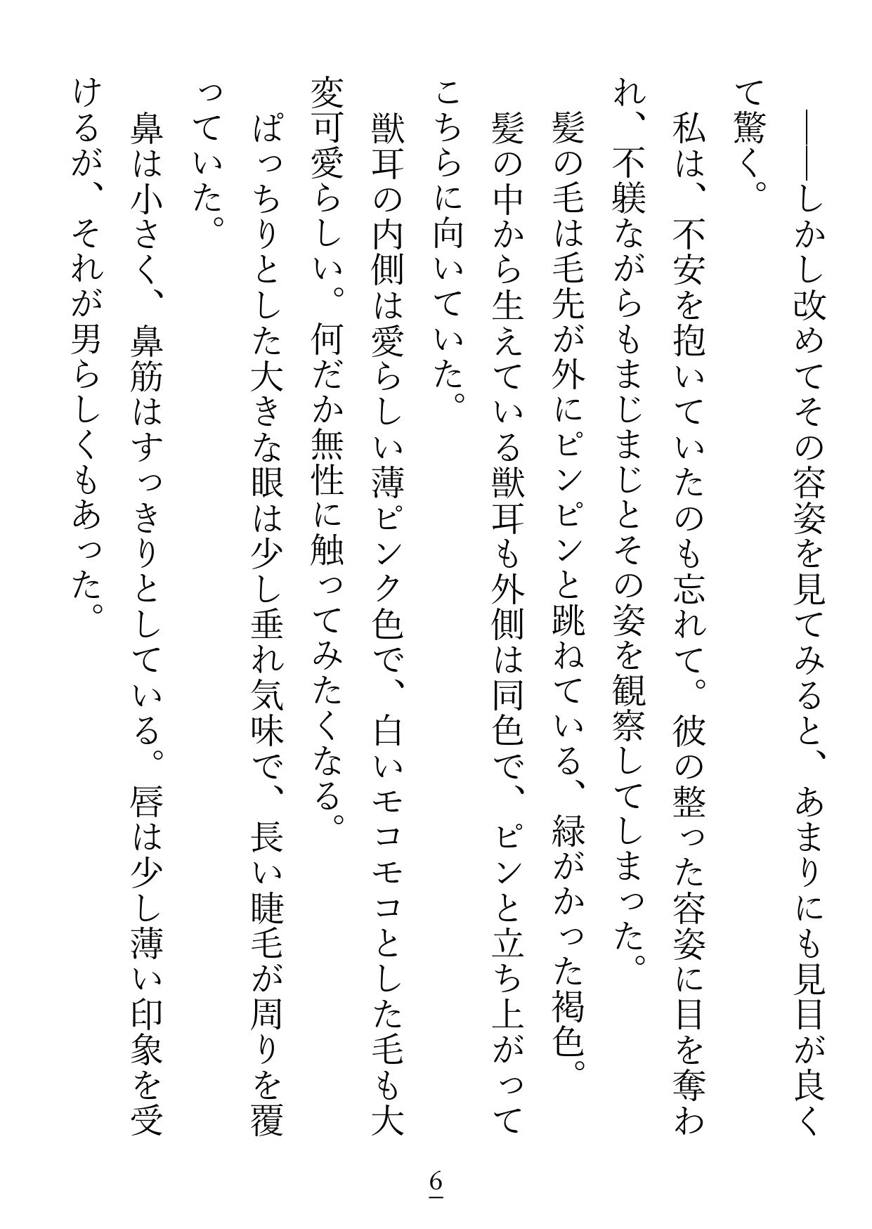 私の相棒は激重猫獣人のリッカくん