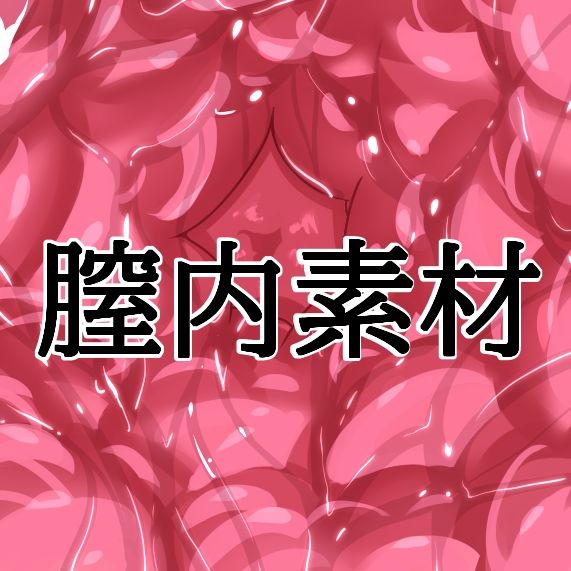 膣内素材