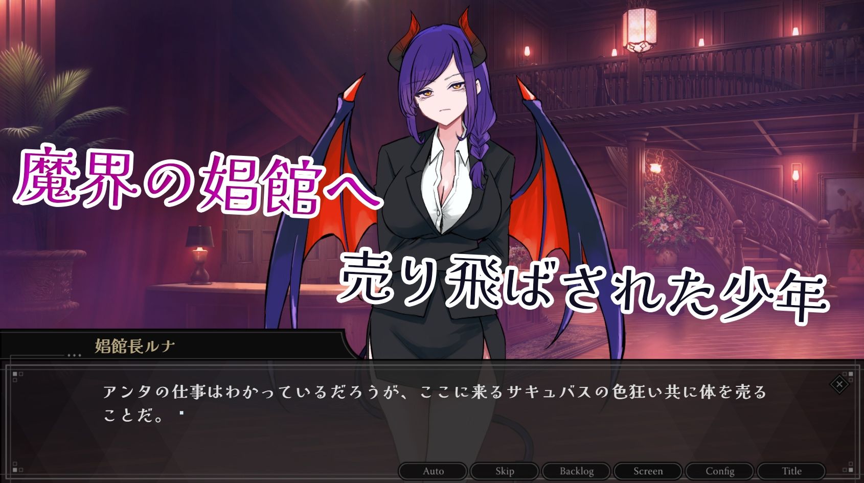 サキュバス専用!逆レ○プ娼館へようこそ