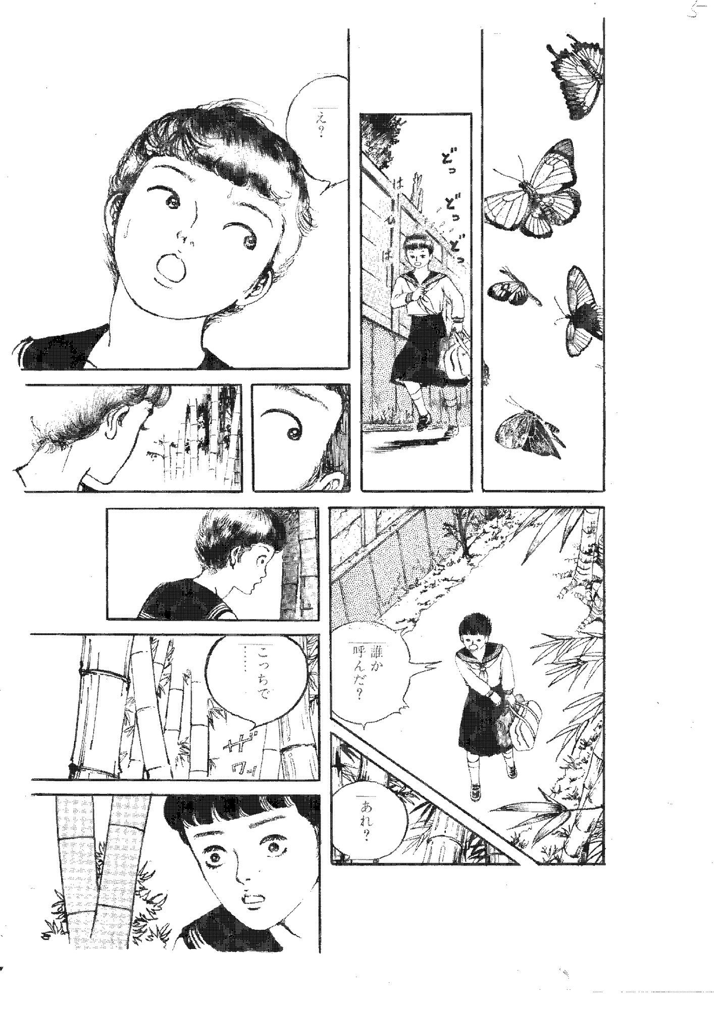 淫夢の戯れ
