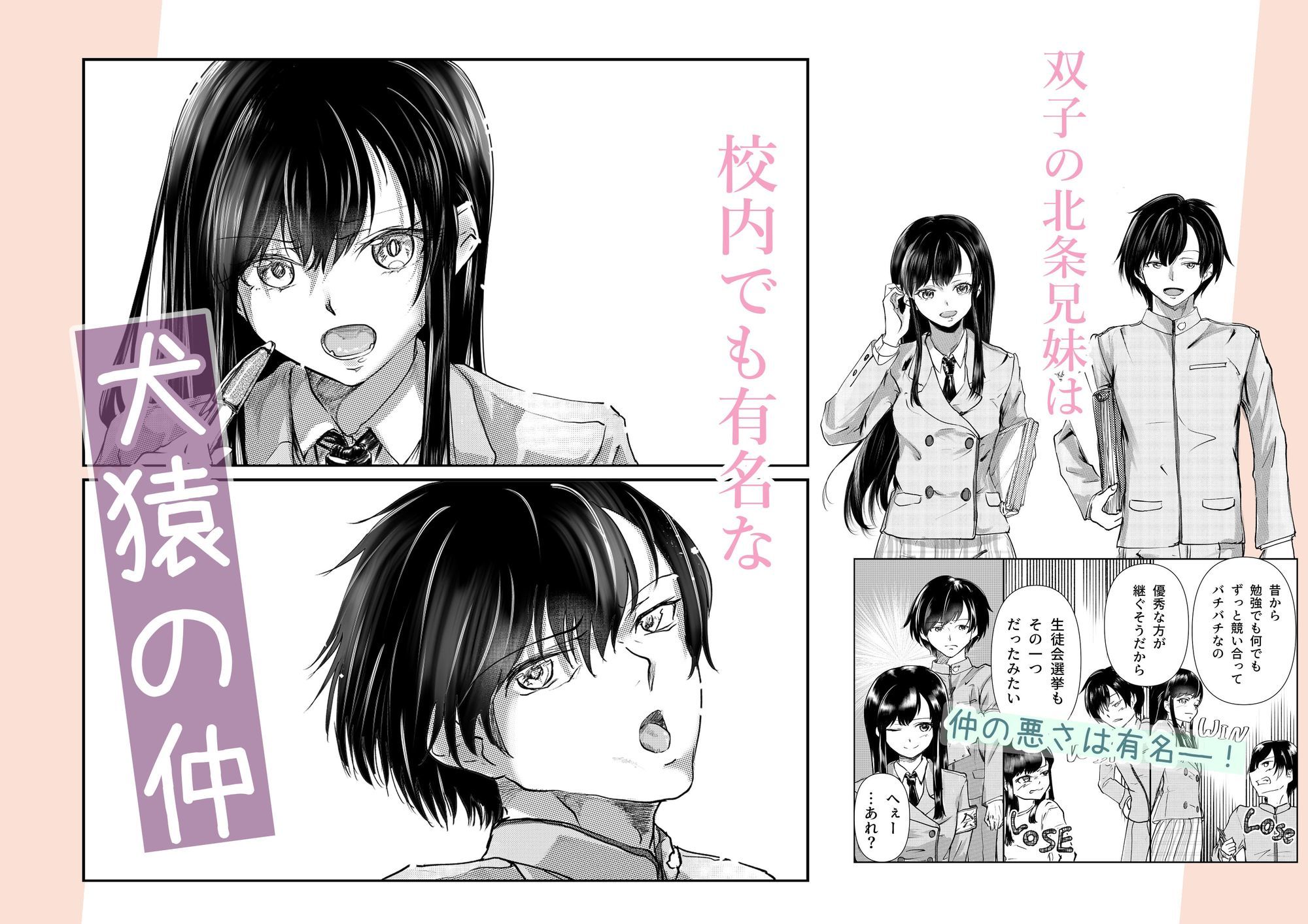 フタゴノヒメゴト