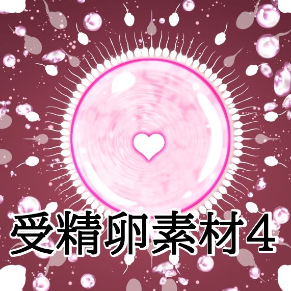 受精卵素材4