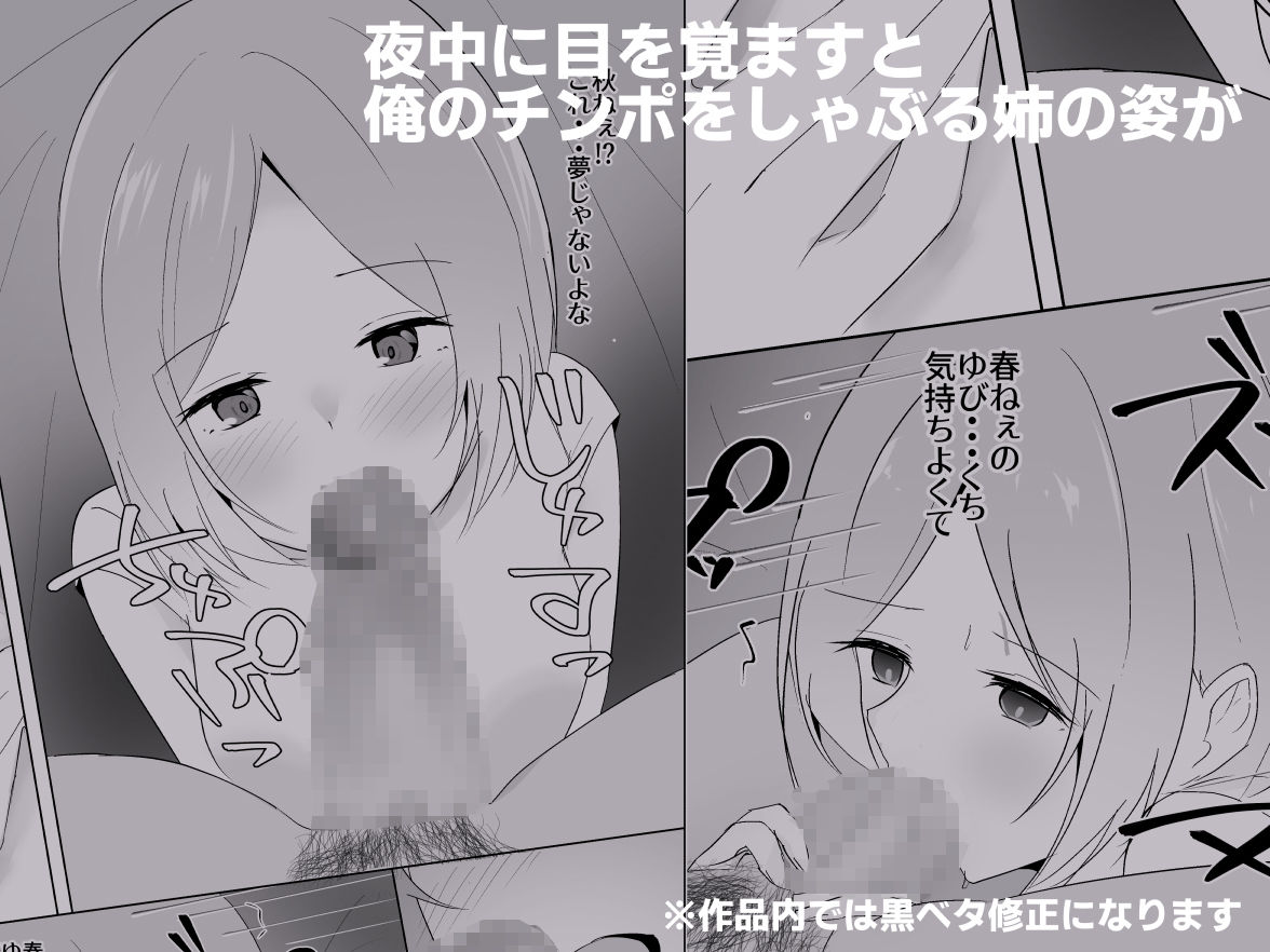 姉がよなよなフェラしてくる