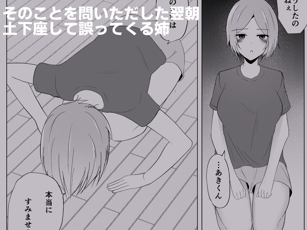 姉がよなよなフェラしてくる