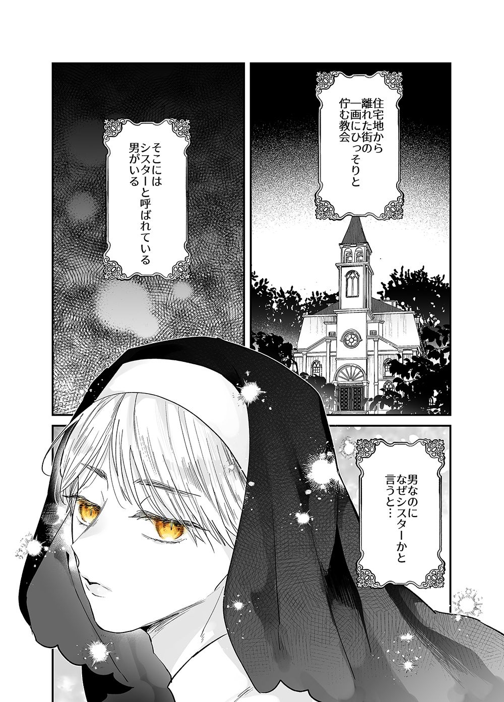 慈善家シスターの献身