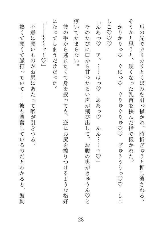 イケメン巨根と流されえっち〜軽い気持ちでついて行ったらぐずぐずにされました〜