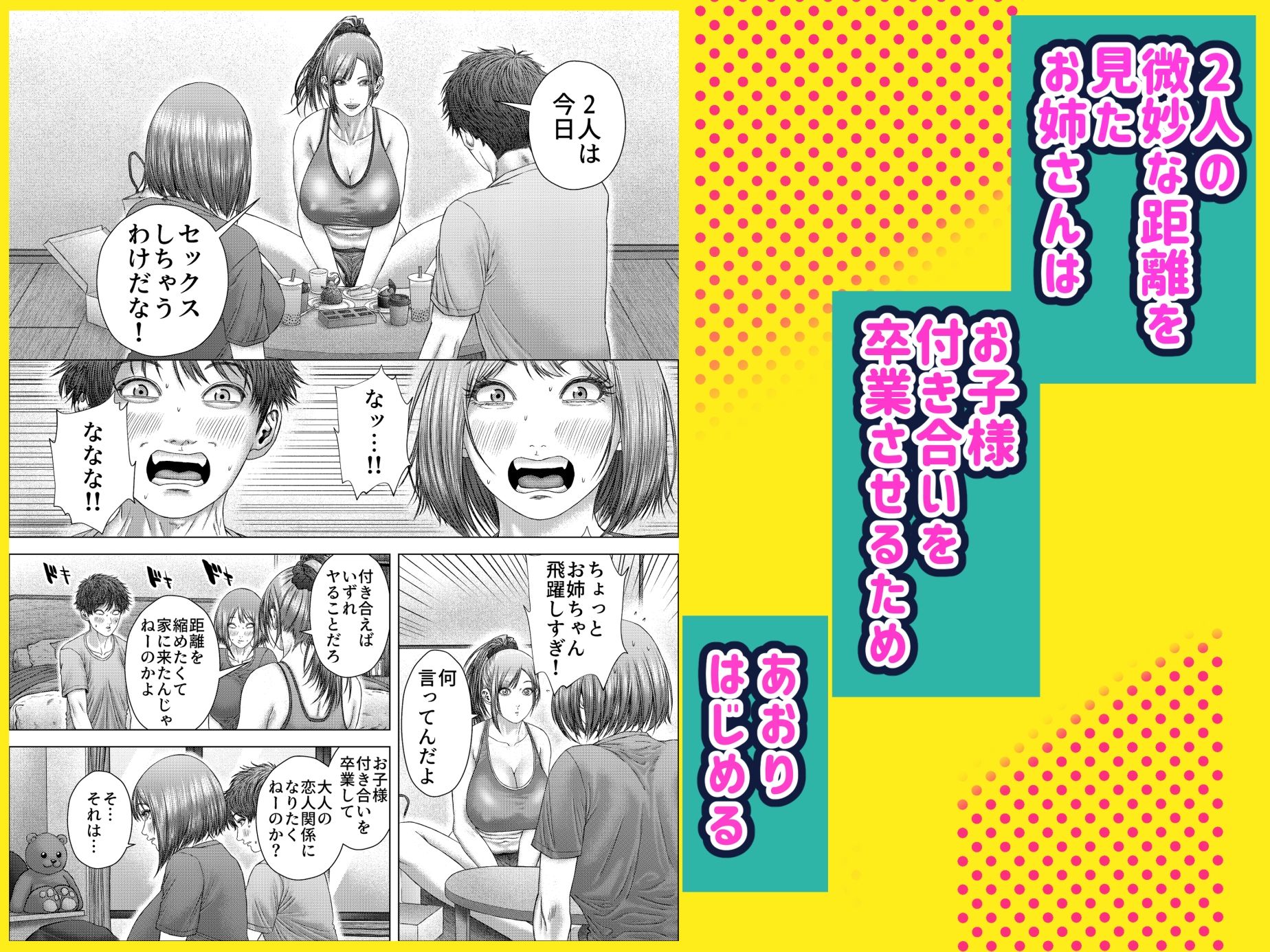 距離感のあるウブっ子カップルが、彼女のお姉さんに性の手ほどきを受ける話