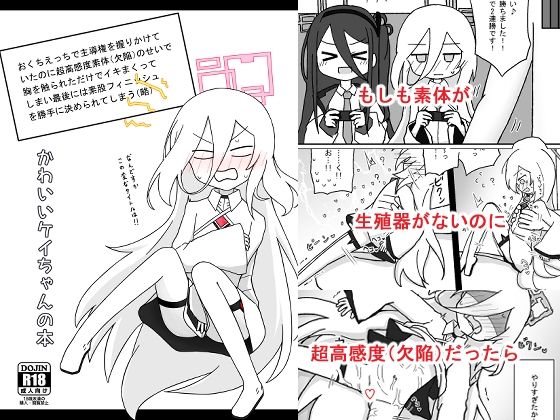 かわいいケイちゃんの本