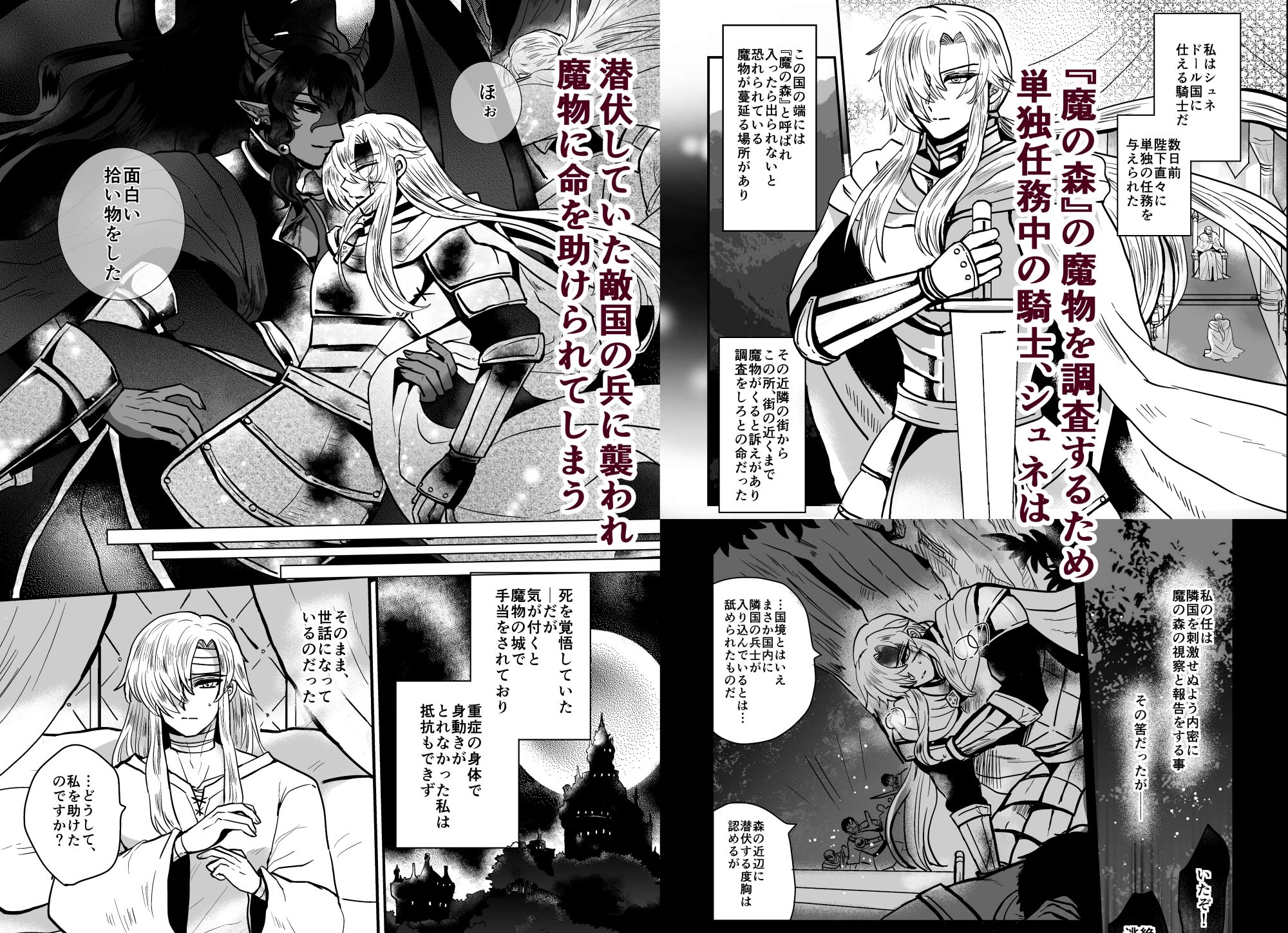 騎士は花嫁になりました