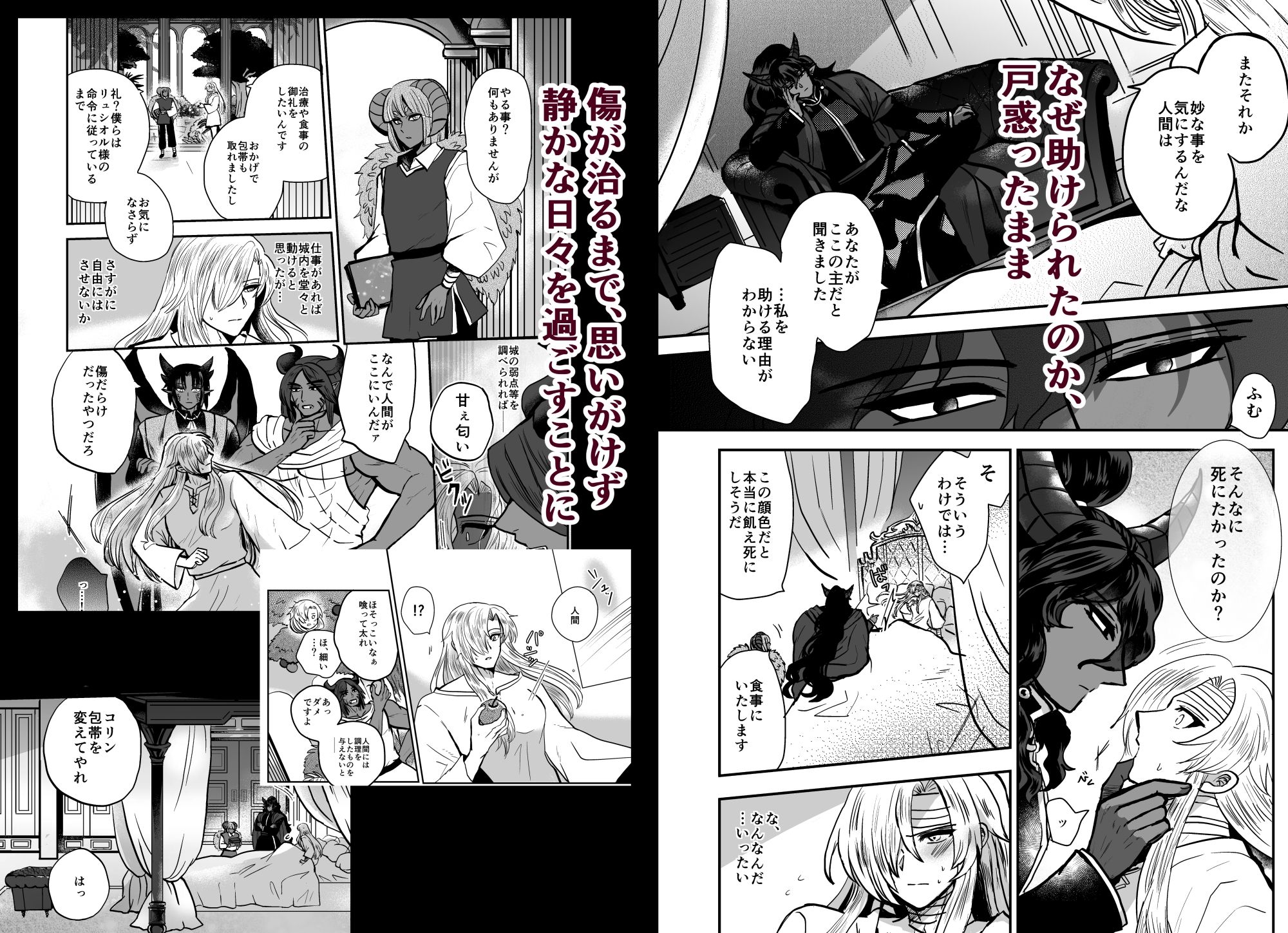 騎士は花嫁になりました