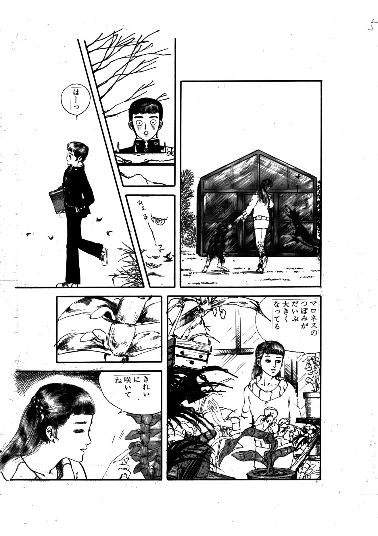 瑠璃色の肉人形