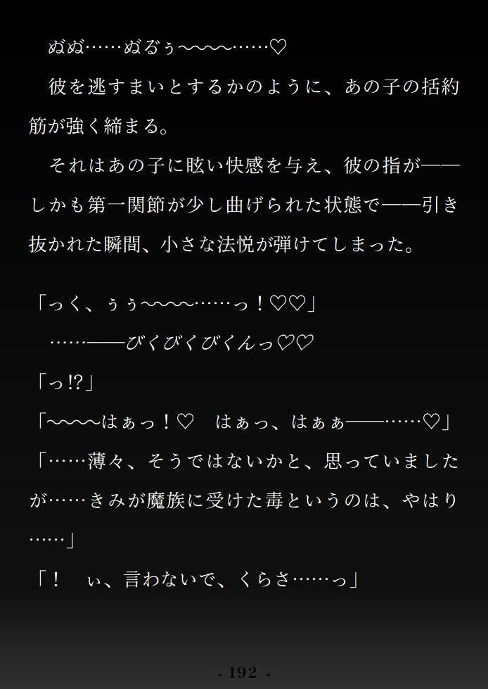 無垢な聖女は黒幕神父の淫謀に敗れる 〜?浄化の儀式?で全身おまんこ化 グチョグチョ悪堕ちアクメ〜